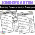 Kindergarten Reading Comprehension Passages and Questions - Phonics to ...