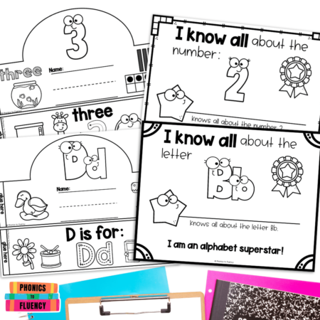 Number of the Day Worksheets Letter of the Day Activities - Image 3