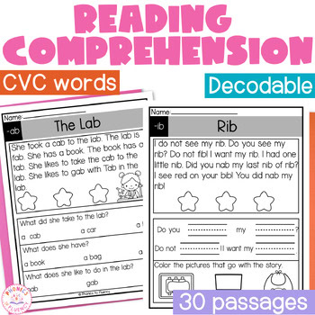 Kindergarten Reading Comprehension CVC Decodable Passages with WH Questions