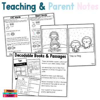 Winter CVC Decodables Decodable Readers Kindergarten CVC Decodable Books - Image 3