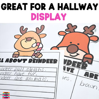 Reindeer Day Writing Can/Have/Are Deer Graphic Organizer for Kindergarten - Image 3