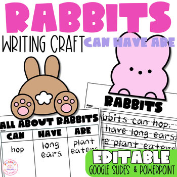 Can/Have/Are Graphic Organizer Easter Activity Craft Kindergarten Science Rabbit