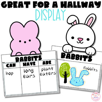 Can/Have/Are Graphic Organizer Easter Activity Craft Kindergarten Science Rabbit - Image 3