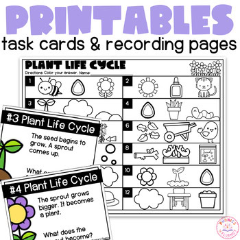 Plant Parts Needs Life Cycle Kindergarten Non Fiction Reading Comprehension - Image 3