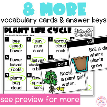 Plant Parts Needs Life Cycle Kindergarten Non Fiction Reading Comprehension - Image 4